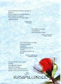 citations sur la signification du merci